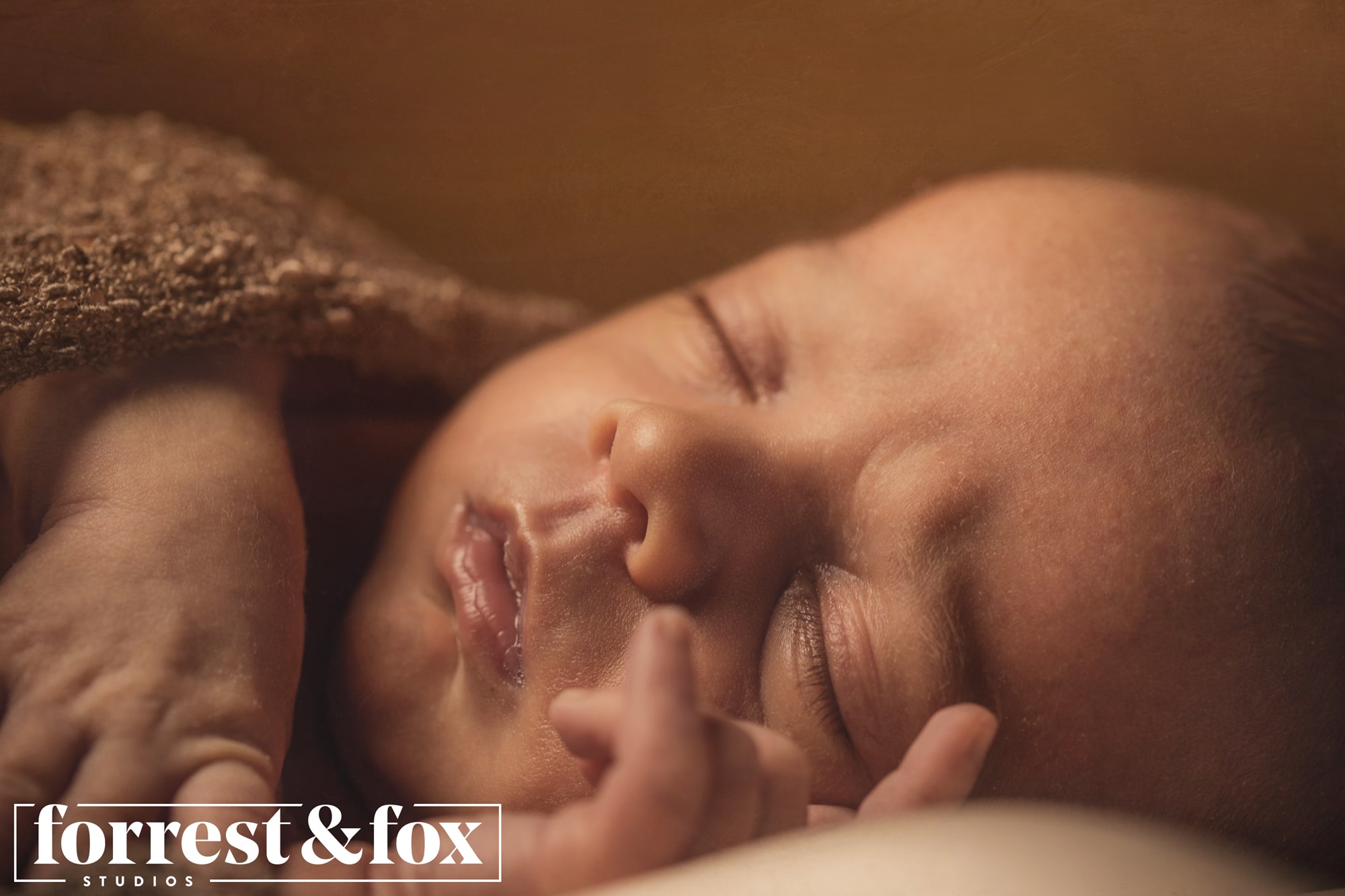 Newborn Photography