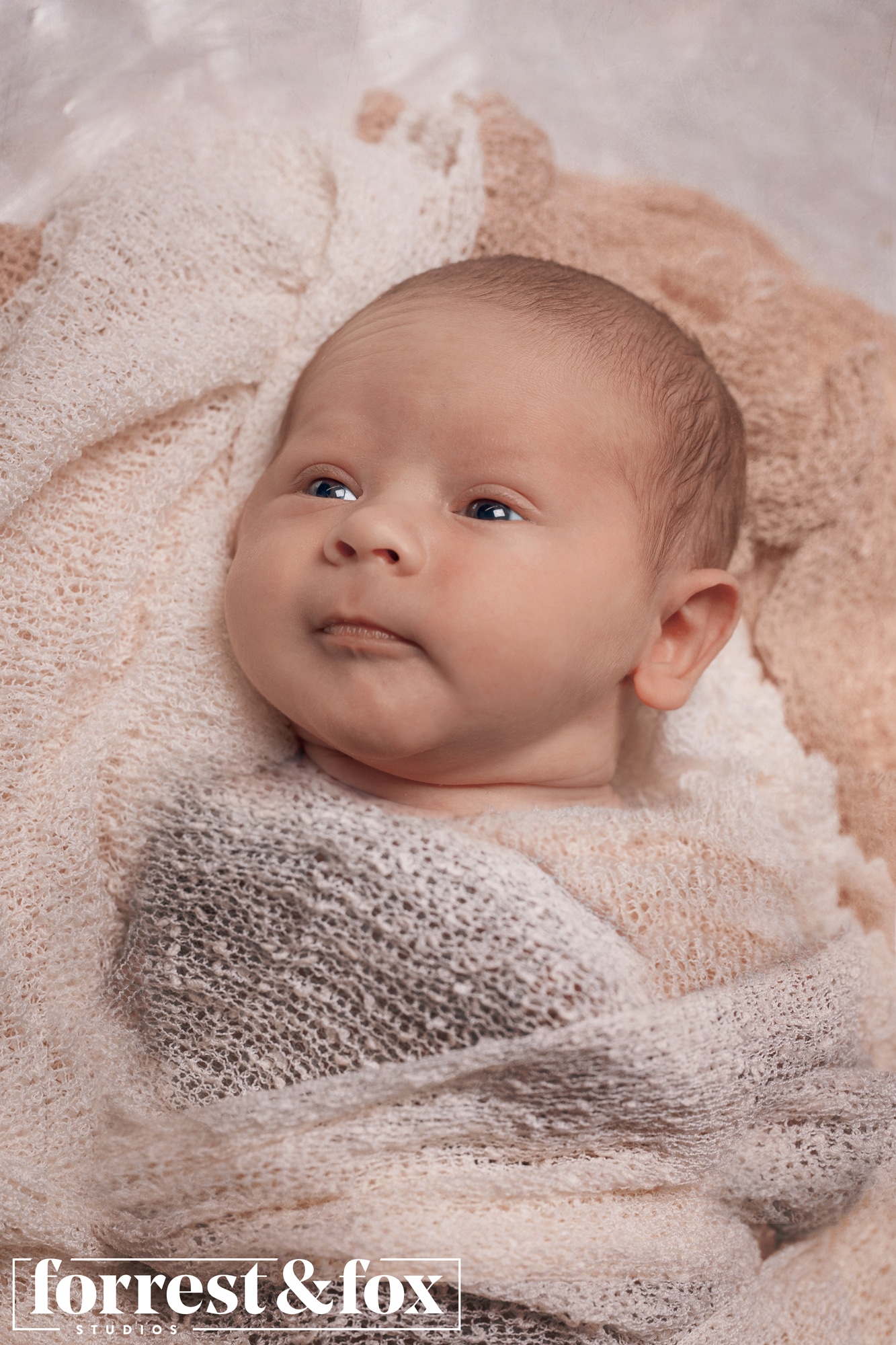 Newborn Photography