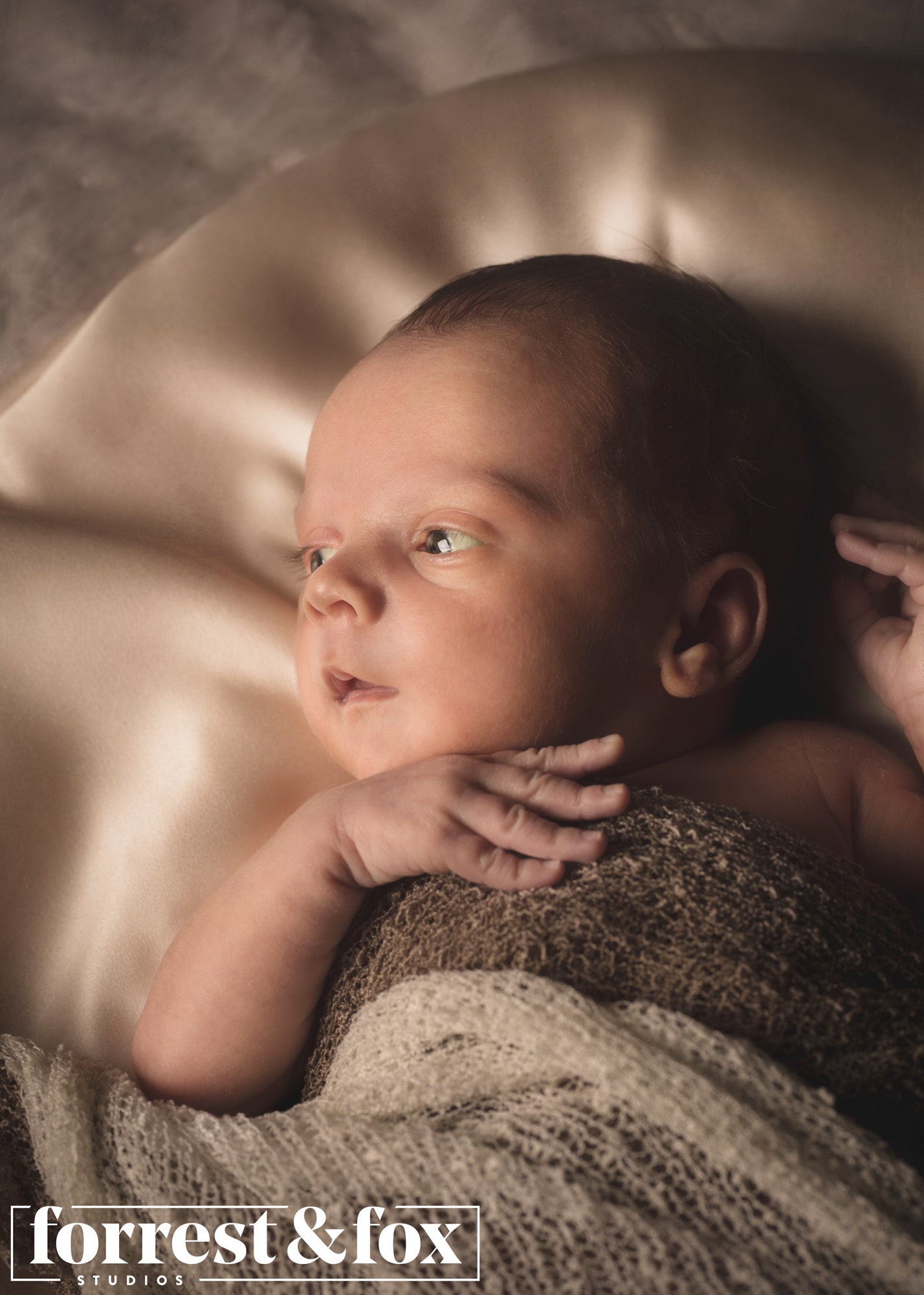 Newborn Photography